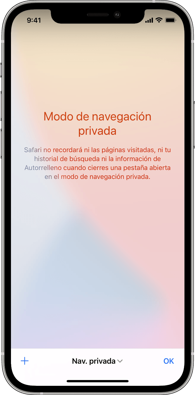 Un iPhone que muestra la pantalla Modo de navegación privada cuando pulsas Privada para activar la Navegación privada.