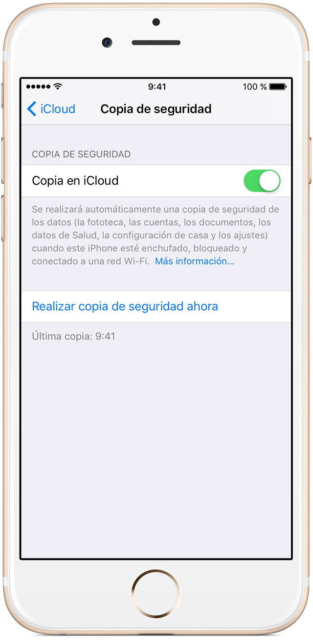 Archivo cargado por el usuario