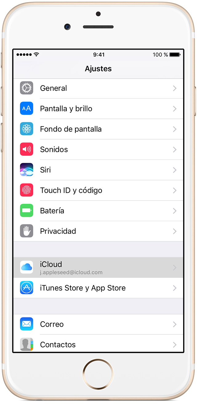 Archivo cargado por el usuario