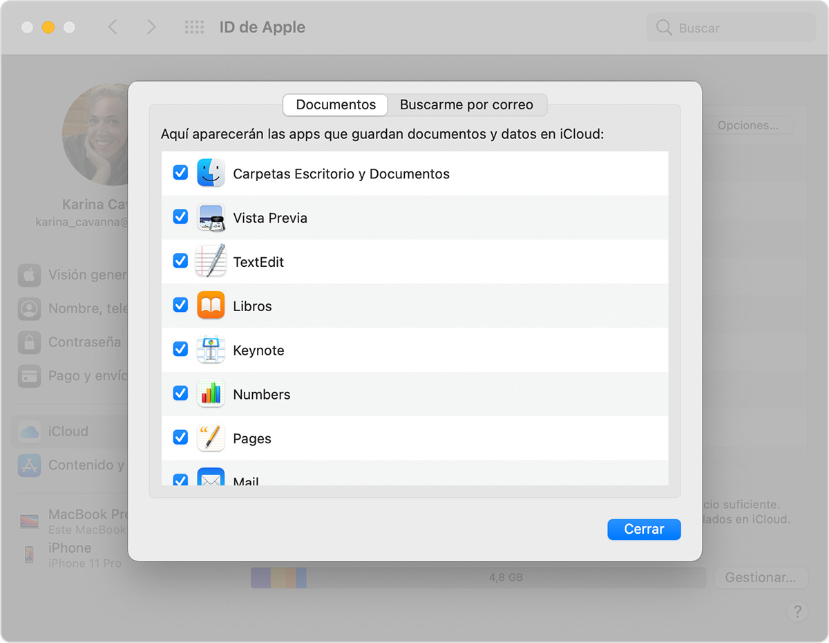 Añadir archivos de Escritorio y de Documentos a iCloud Drive - Soporte  técnico de Apple (ES)