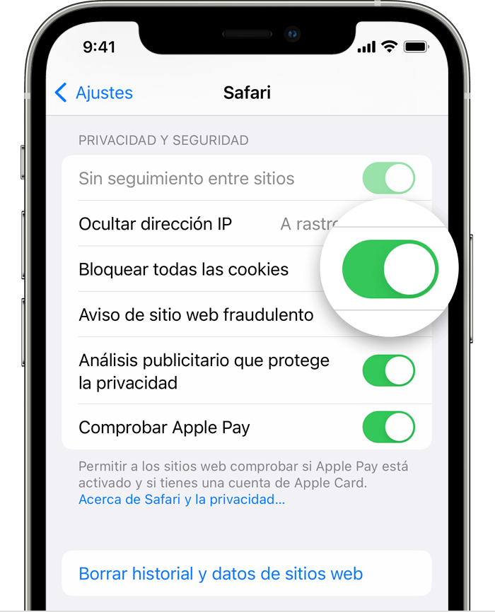 Guerrero emparedado Forzado Borrar el historial y las cookies de Safari en el iPhone, iPad o iPod touch  - Soporte técnico de Apple (ES)