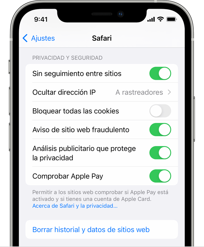 Ajustes de Safari en un iPhone que muestra la opción “Borrar historial y datos de sitios web”.
