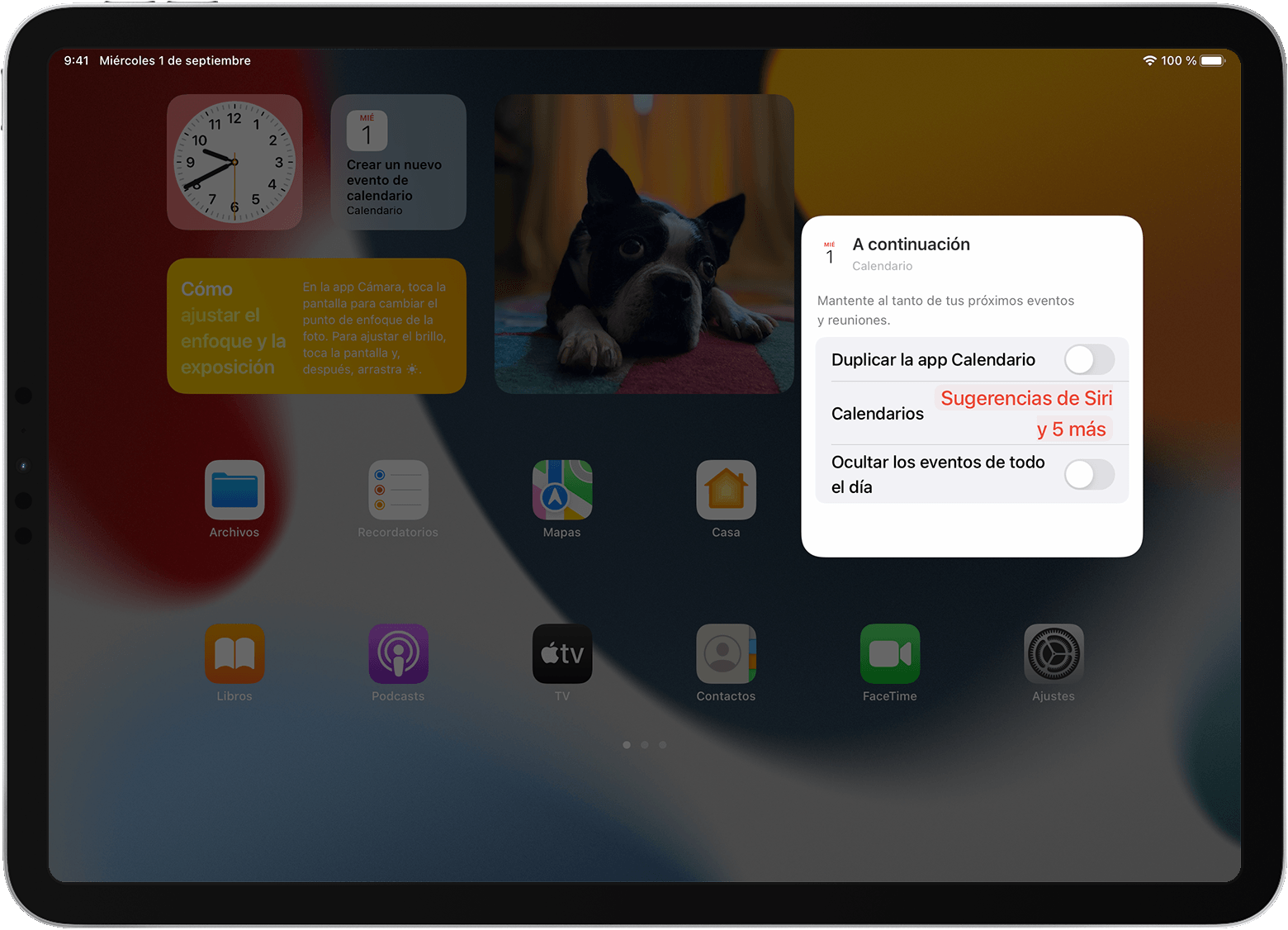 Pantalla del iPad que muestra las opciones del widget Recordatorios