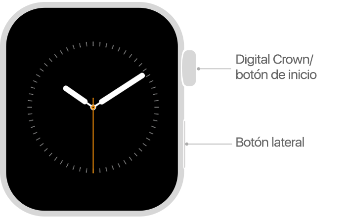 Usar los botones y la pantalla del Apple Watch - Soporte técnico de Apple