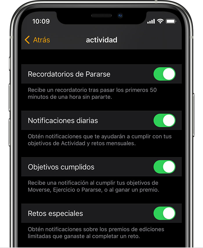 Una pantalla de iPhone en la que se muestran las opciones de notificaciones y recordatorios de Actividad