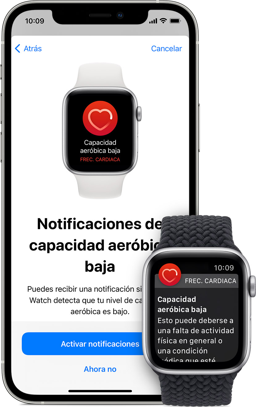 como activar notificaciones en apple watch