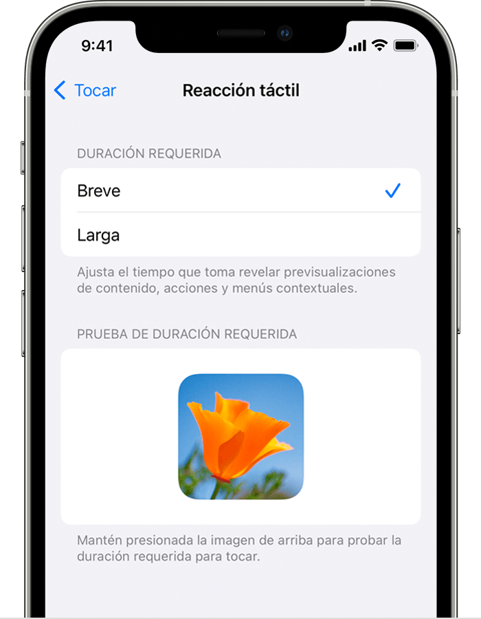 Configuración de la opción Reacción táctil en el iPhone