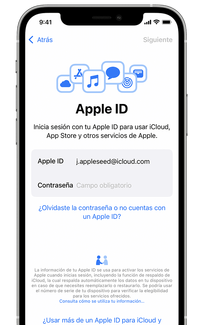 Pantalla en la que se muestra la opción de iniciar sesión con el Apple ID y la contraseña