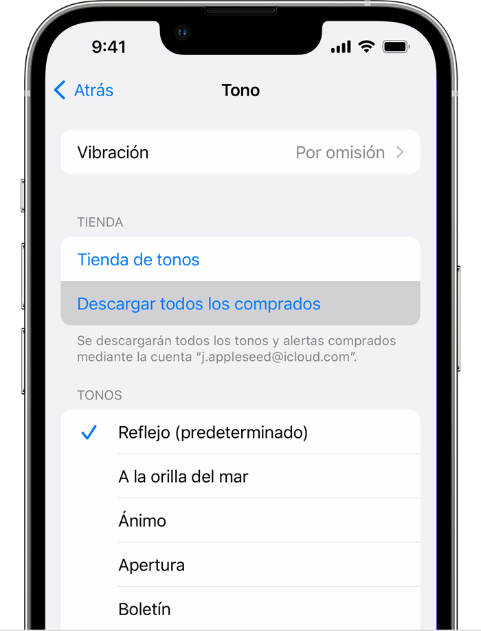 Usar tonos de llamada y otros tonos con el iPhone o iPad - Soporte técnico  de Apple