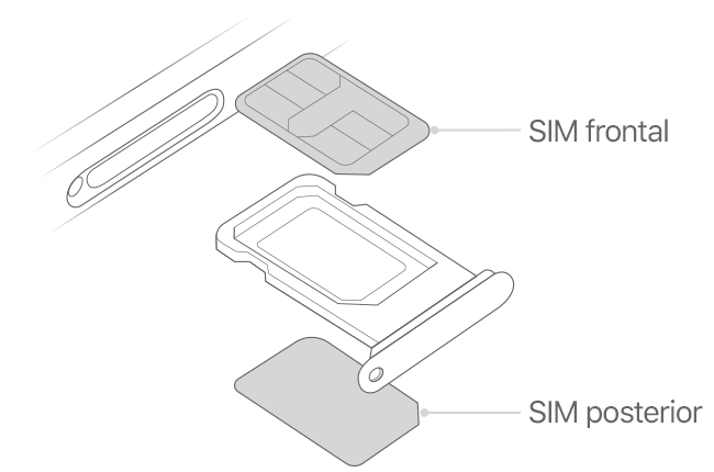 En la imagen se muestra la bandeja de SIM con las tarjetas SIM frontal y posterior