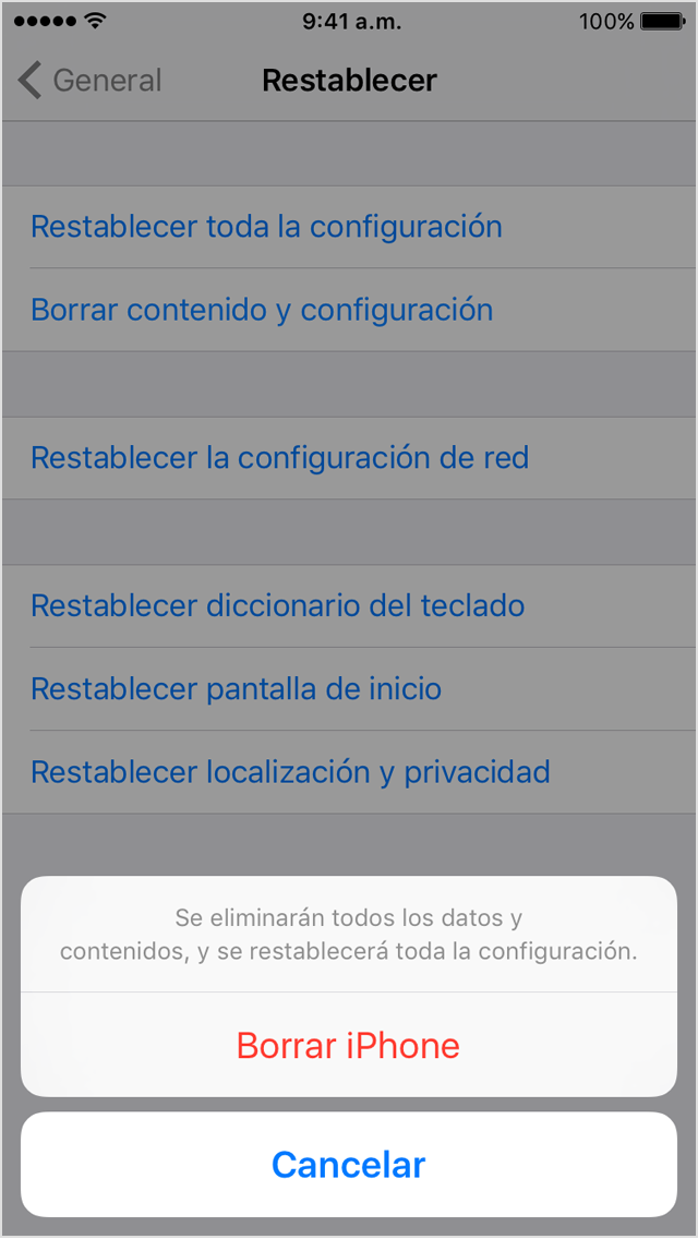 Archivo cargado por el usuario