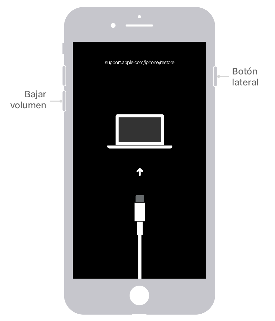 Si Olvidaste El Codigo Del Iphone O El Iphone Esta Desactivado Soporte Tecnico De Apple