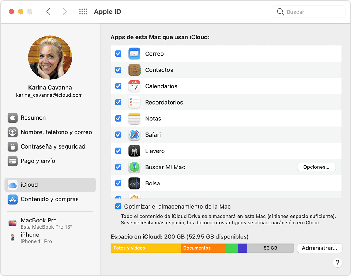 Captura de pantalla de Preferencias del Sistema con iCloud Drive seleccionado.