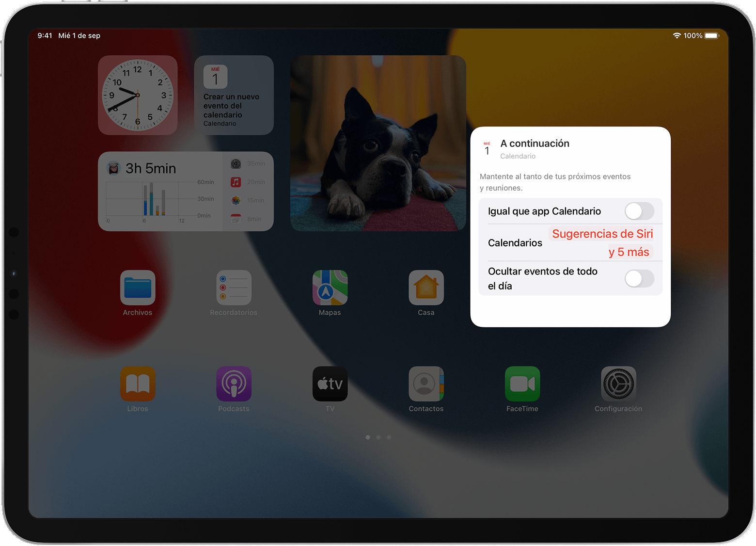 Pantalla del iPad que muestra las opciones del widget Recordatorios