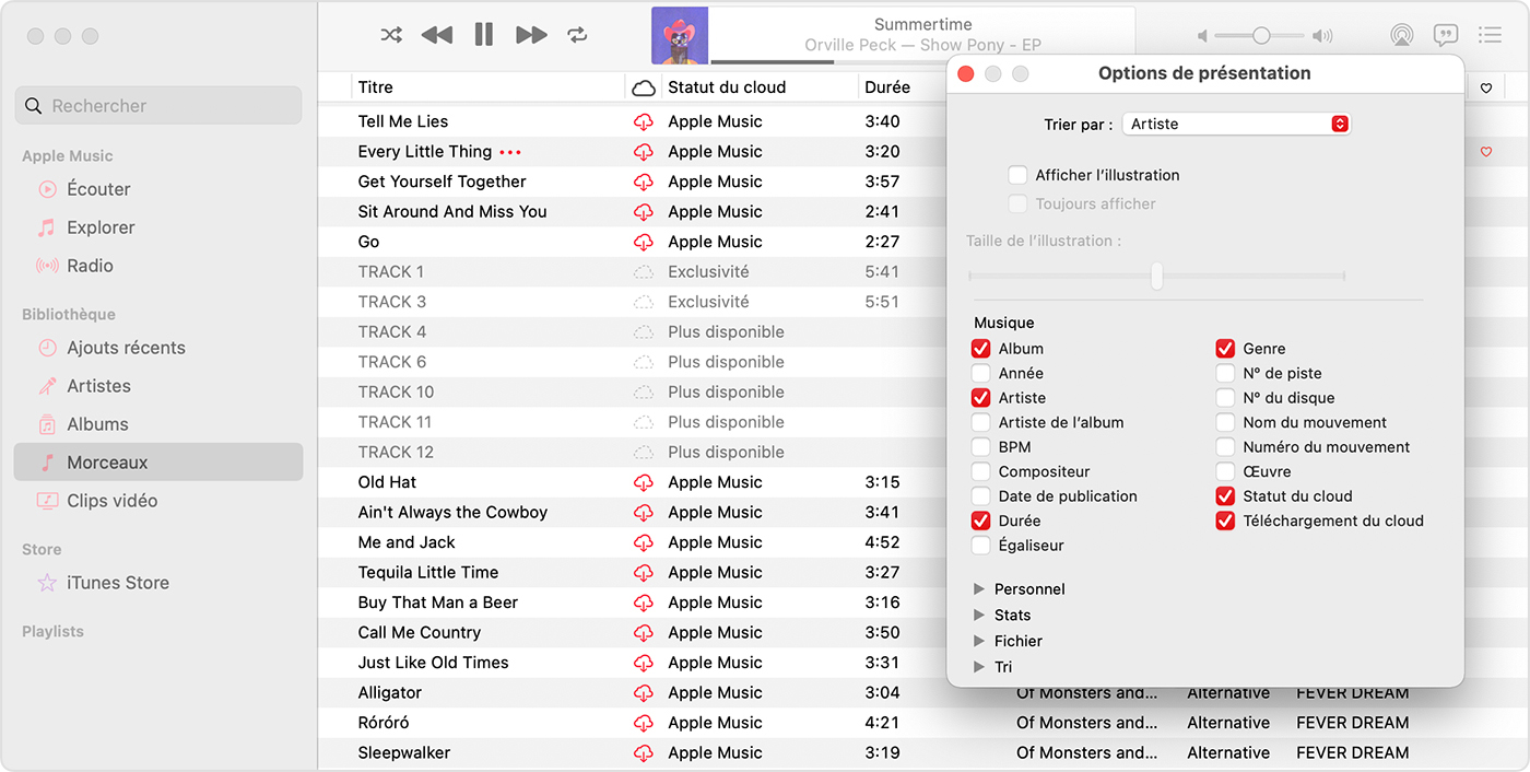 Fenêtre de l’app Musique affichant les options de présentation, y compris Téléchargement iCloud Statut iCloud