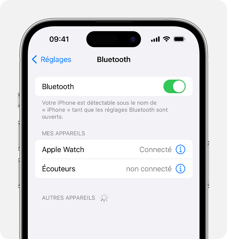 Récepteur mains libres Bluetooth Bluehive