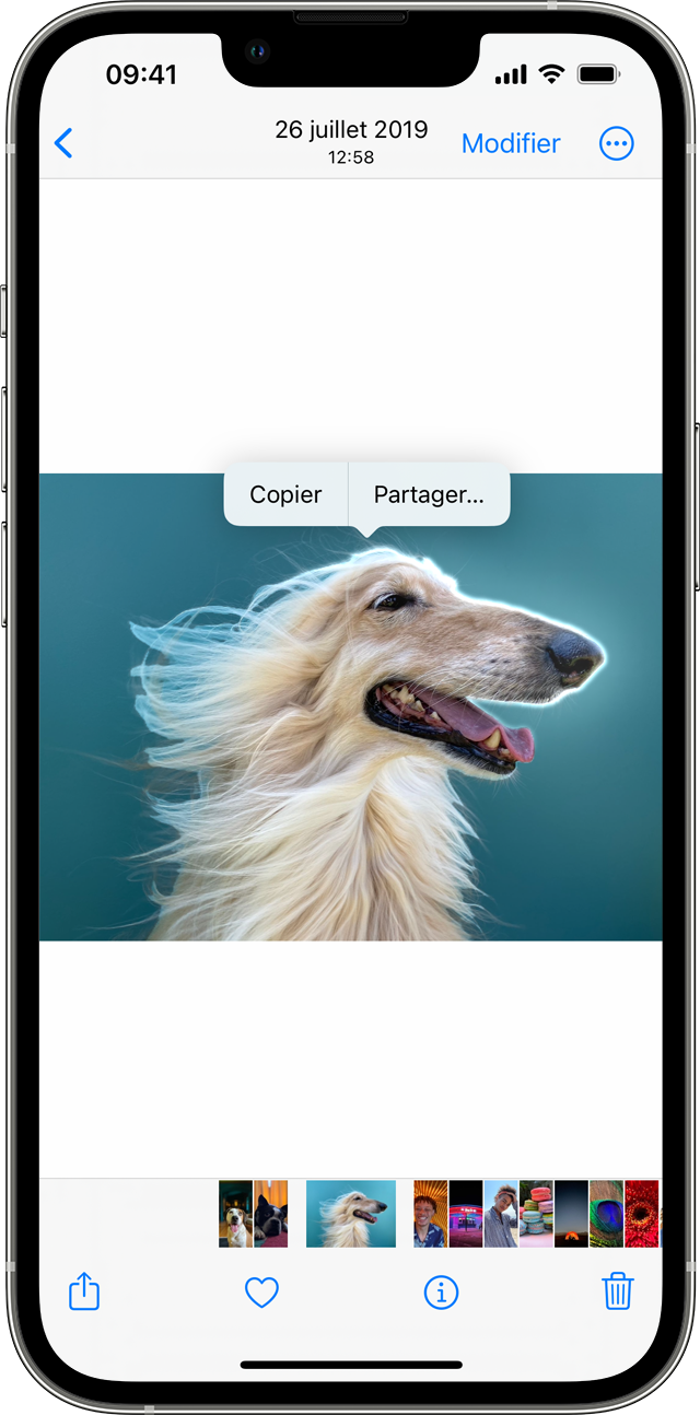 Créer et partager des découpes de photos sur votre iPhone - Assistance  Apple (FR)