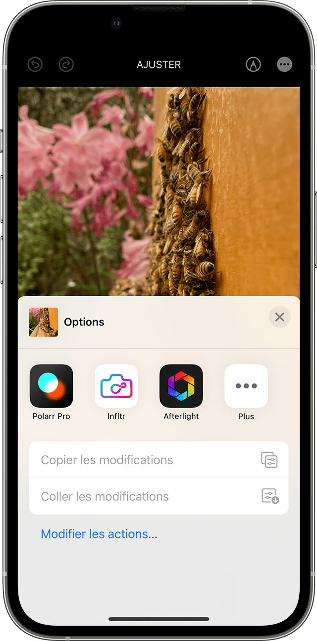 Le menu des extensions tierces disponibles dans Photos sur un iPhone.
