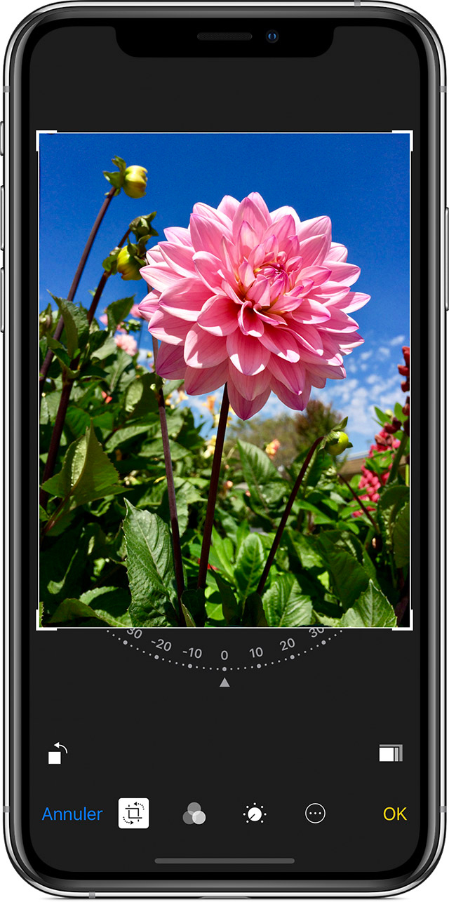 Prendre et modifier des photos avec votre iPhone, iPad et iPod touch