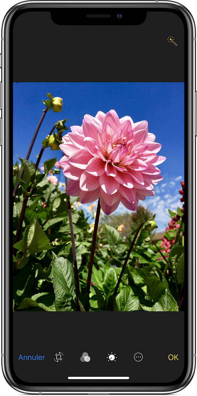 Prendre et modifier des photos avec votre iPhone, iPad et iPod touch