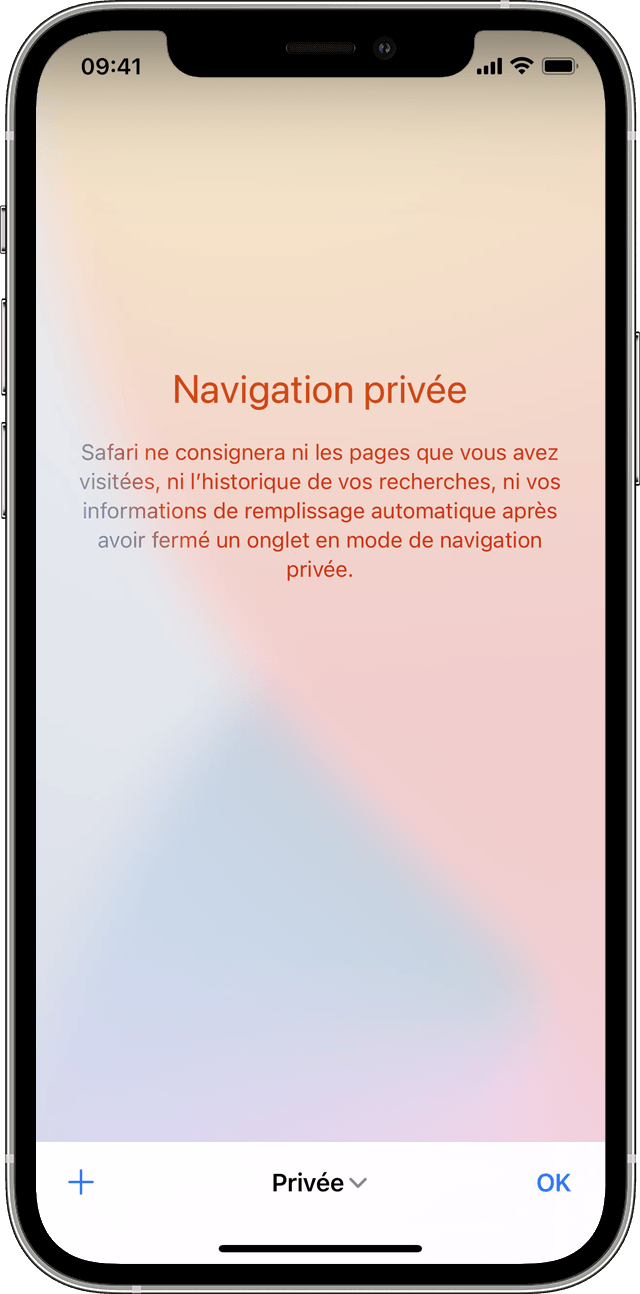 Un iPhone affichant l’écran Mode de navigation privée lorsque vous touchez Privée pour activer la navigation privée.