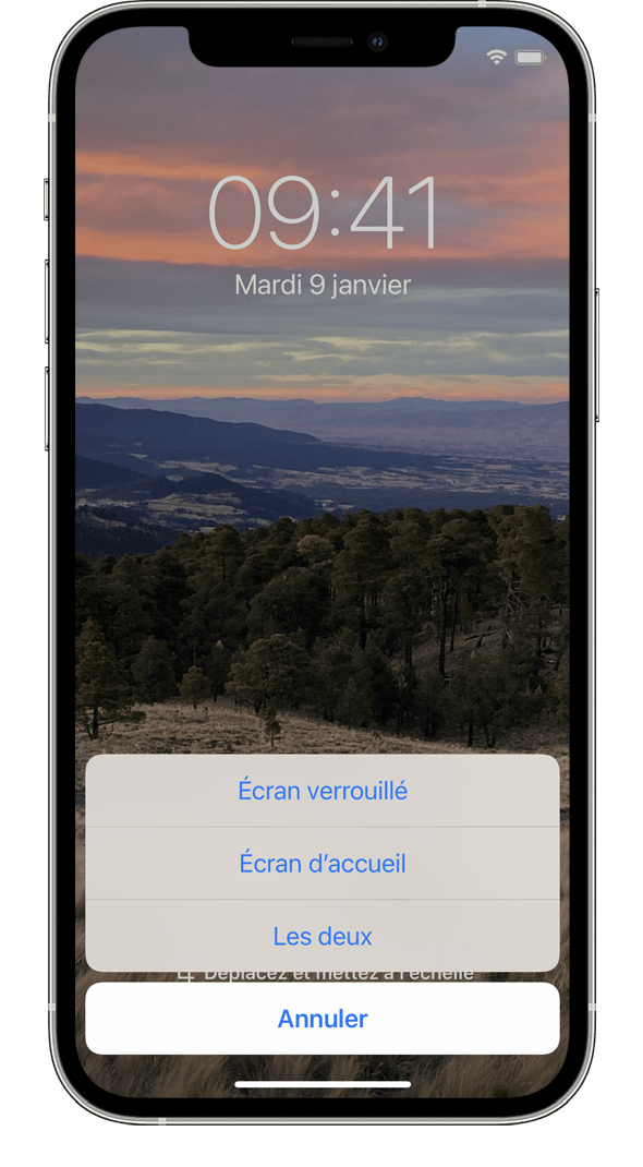 Vous pouvez définir une image comme fond d'écran de l'iPhone pour l'écran verrouillé, l'écran d'accueil ou les deux écrans.