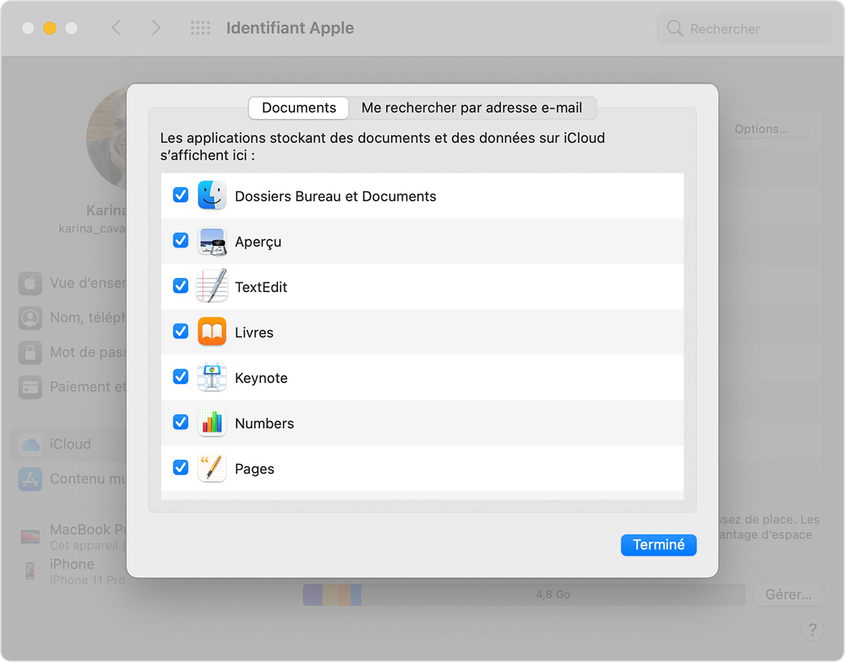 Écran Options d’iCloud Drive sur un Mac qui montre que l’option des dossiers Bureau et Documents est sélectionnée.