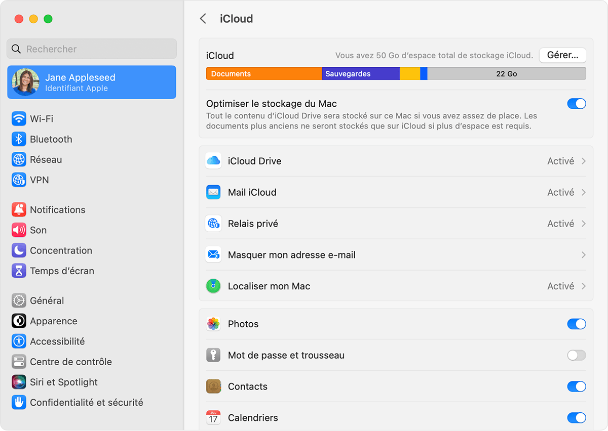 iCloud Drive est répertorié sous la section Optimiser le stockage du Mac.