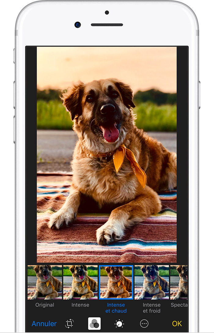 Prendre et modifier des photos avec votre iPhone, iPad et iPod touch