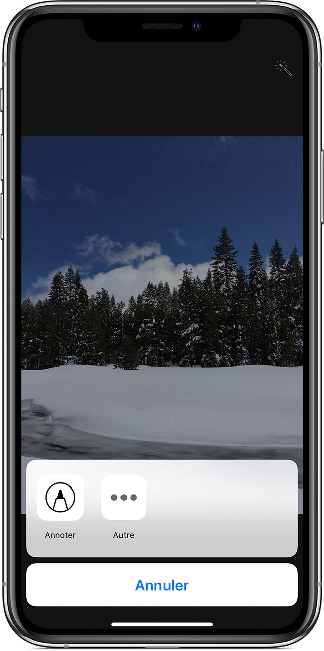 Effectuer des modifications dans Photos avec des apps et extensions tierces Assistance Apple