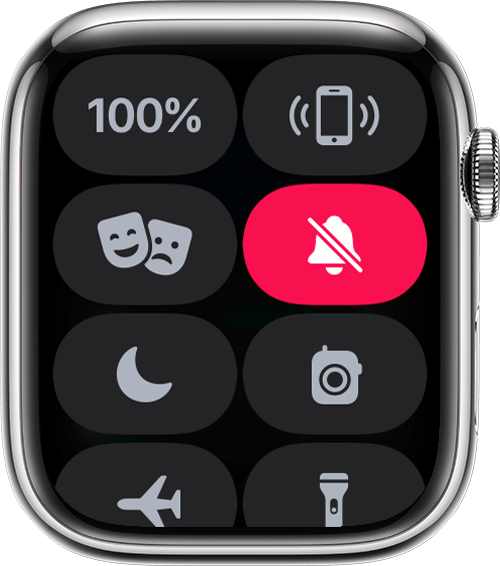 שינוי הגדרות השמע והעדכונים ב-Apple Watch - Apple Support