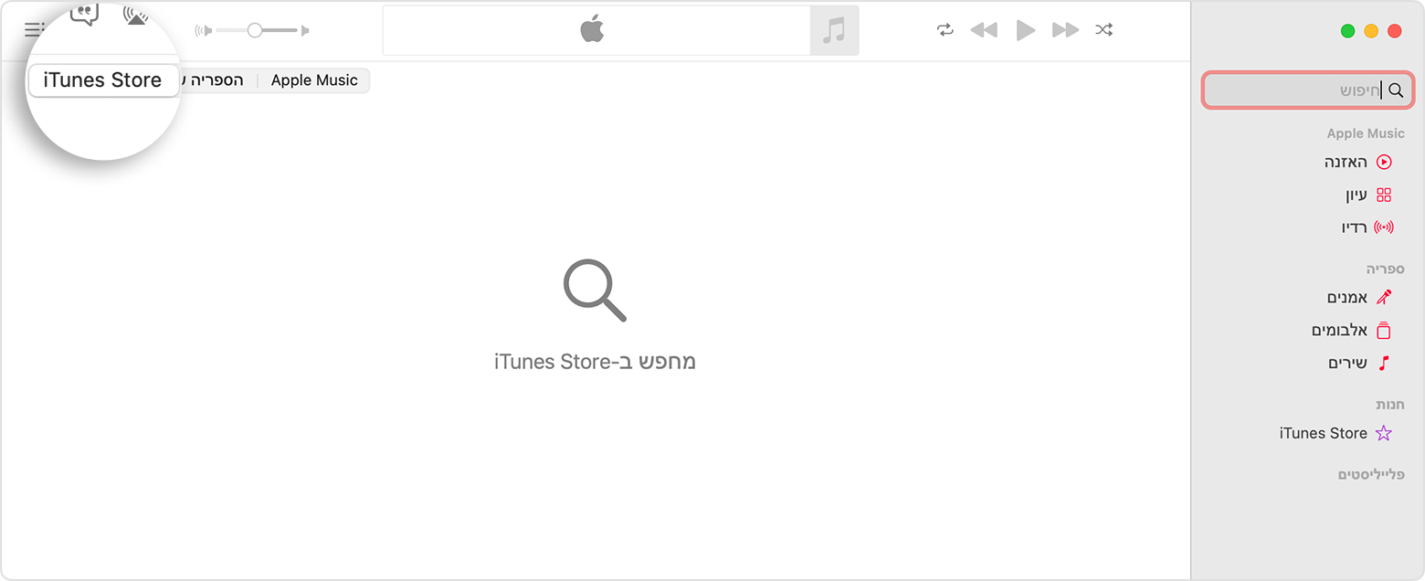 העדפות האפליקציה Apple Music שמציגות את החיפוש ב-iTunes Store‏