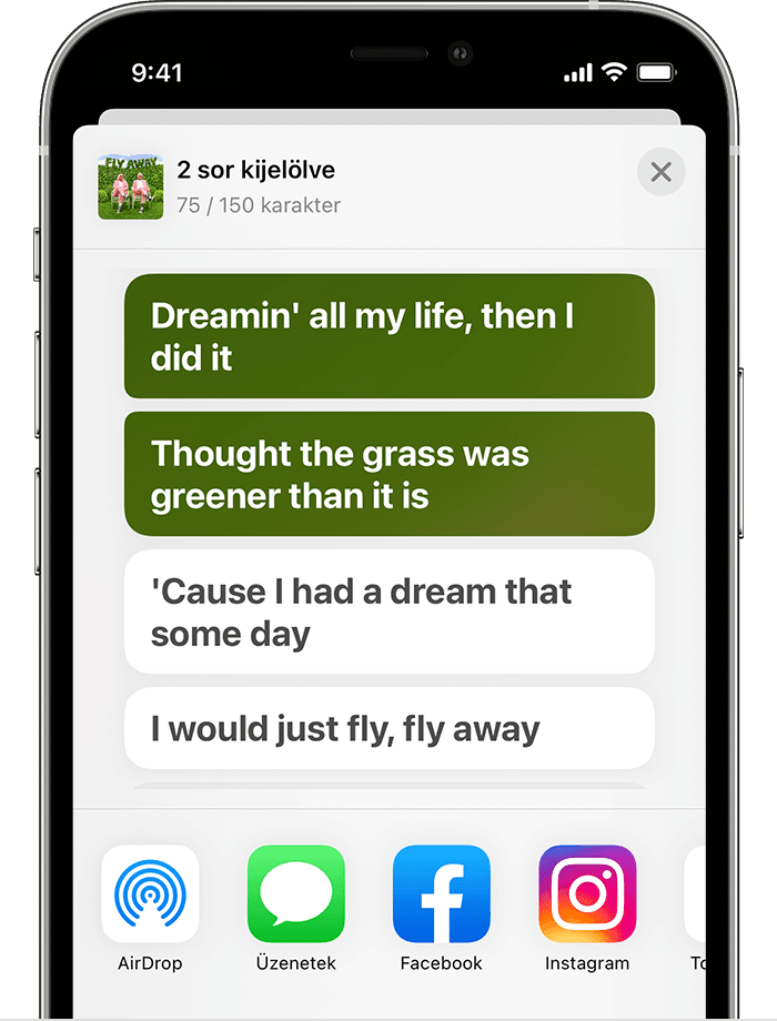 Egy dalból kiválasztott két sort tartalmazó megosztási lapot mutató iPhone. 