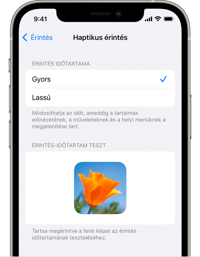 A Haptikus érintés funkció beállításai iPhone-on
