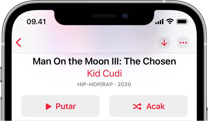iPhone yang menampilkan tombol Acak di bagian atas album.