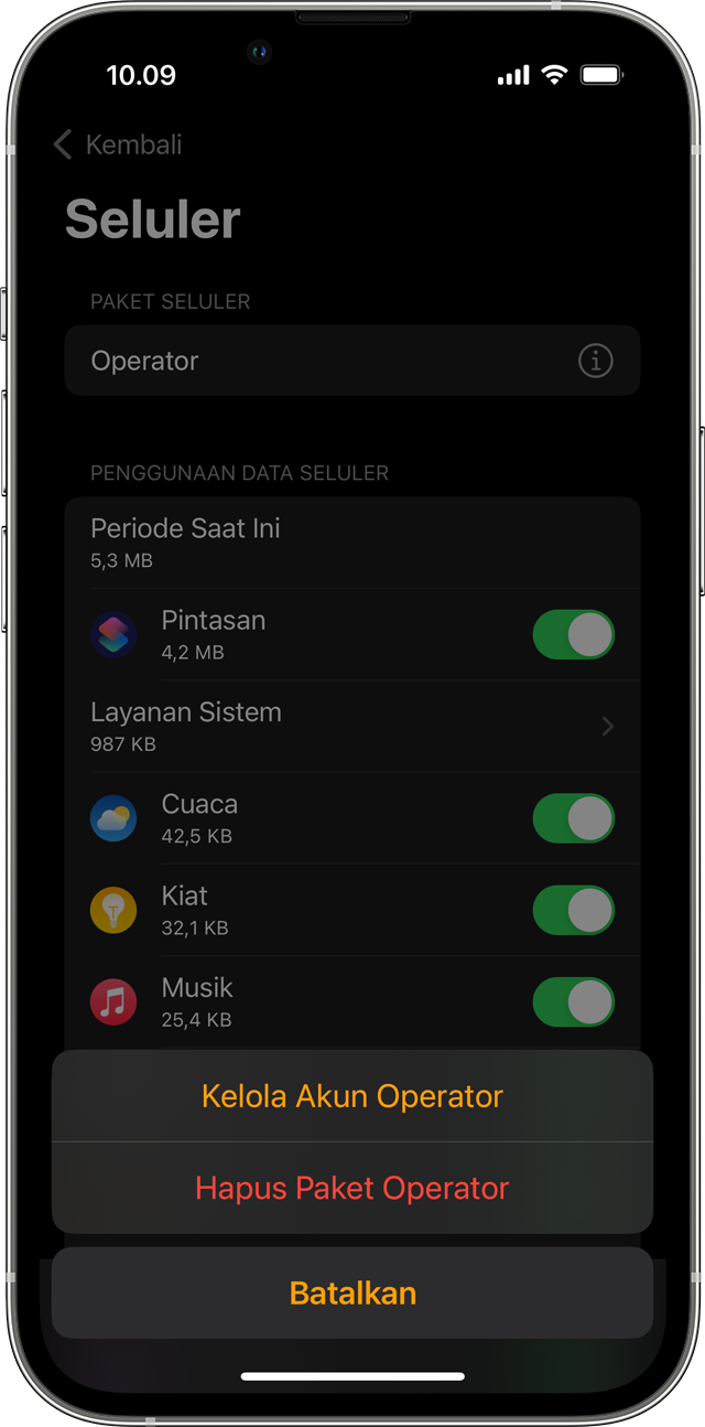 iPhone menampilkan layar Seluler di aplikasi Apple Watch