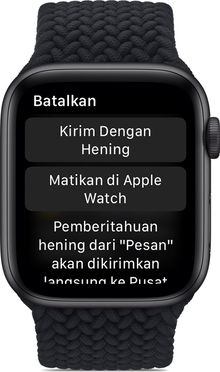 apple watch beta profile