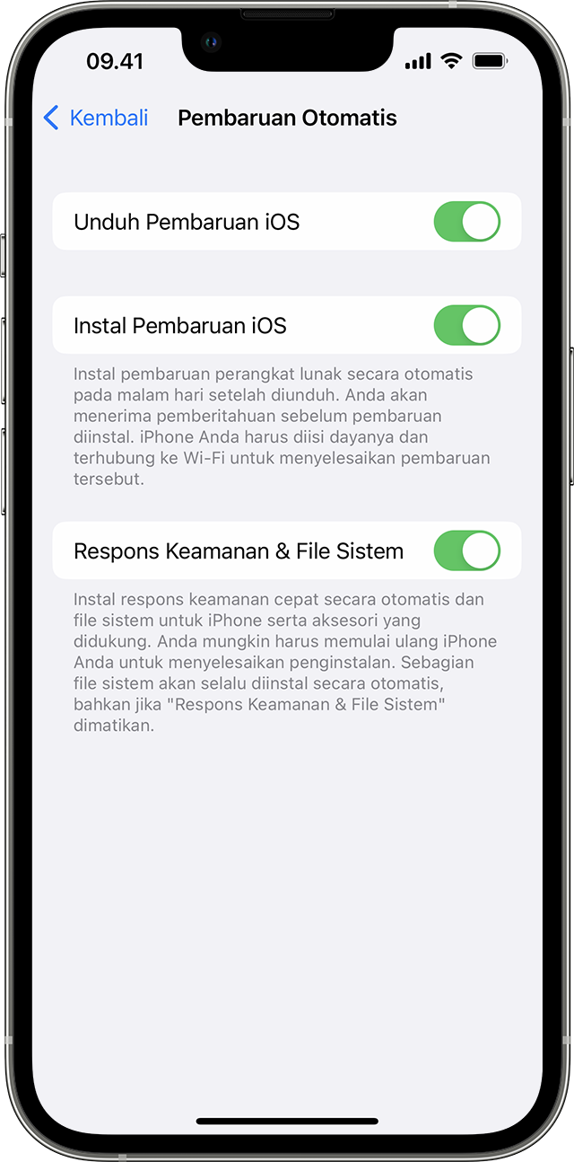 App Pengaturan di iPhone menampilkan pilihan untuk memperbarui perangkat secara otomatis.