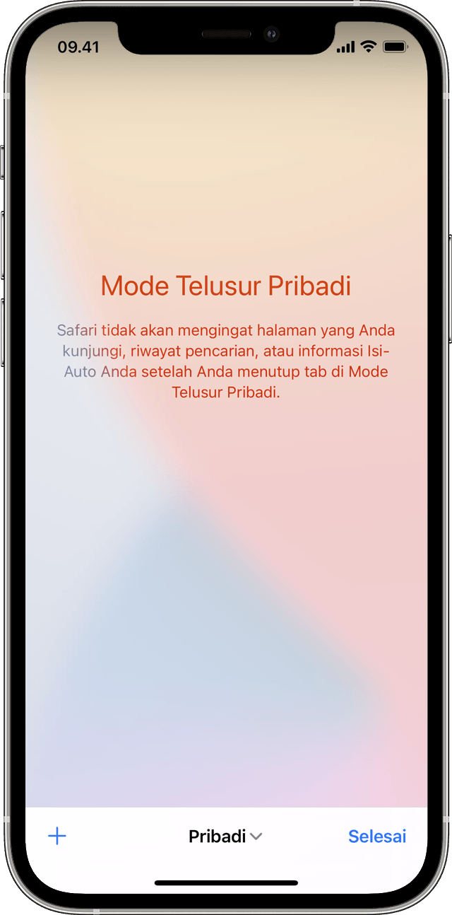 iPhone menampilkan layar Mode Telusur Pribadi saat Anda mengetuk Pribadi untuk menyalakan Penelusuran Pribadi.