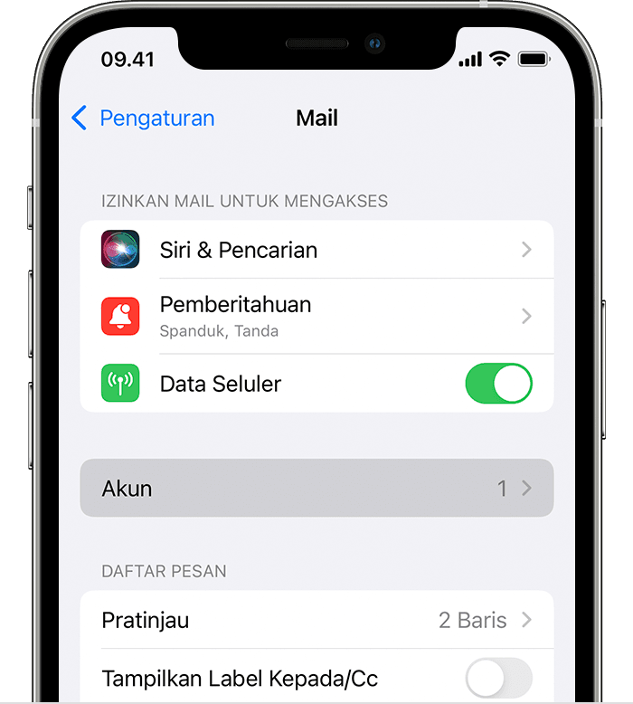 iPhone menampilkan cara mengatur akun email secara otomatis