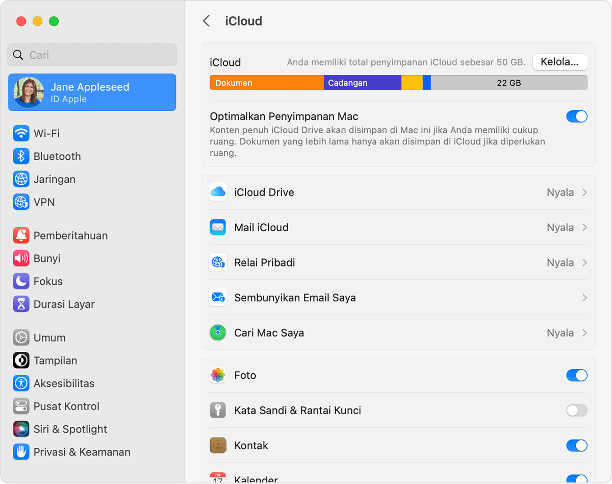 iCloud Drive tercantum di bawah bagian Optimalkan Penyimpanan Mac.