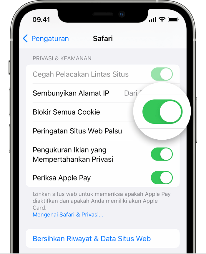 Pengaturan Safari iPhone dengan Blokir Semua Cookie yang diaktifkan