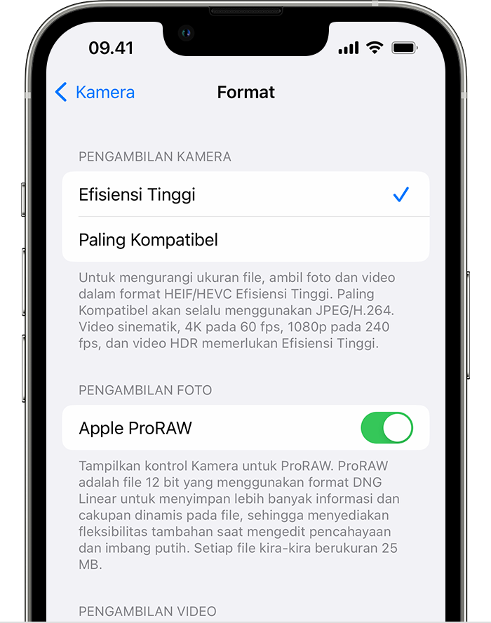 Menyalakan pengambilan gambar Apple ProRAW di iPhone melalui Pengaturan > Kamera > Format.