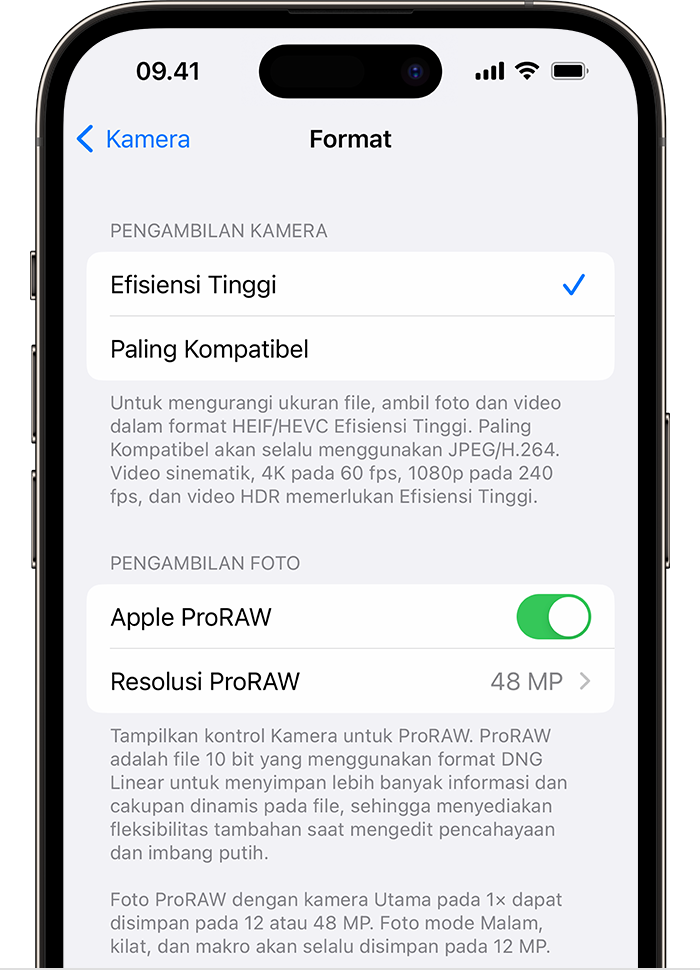 Pada model iPhone 14 Pro, Anda memiliki dua pilihan untuk resolusi ProRAW di Pengaturan.