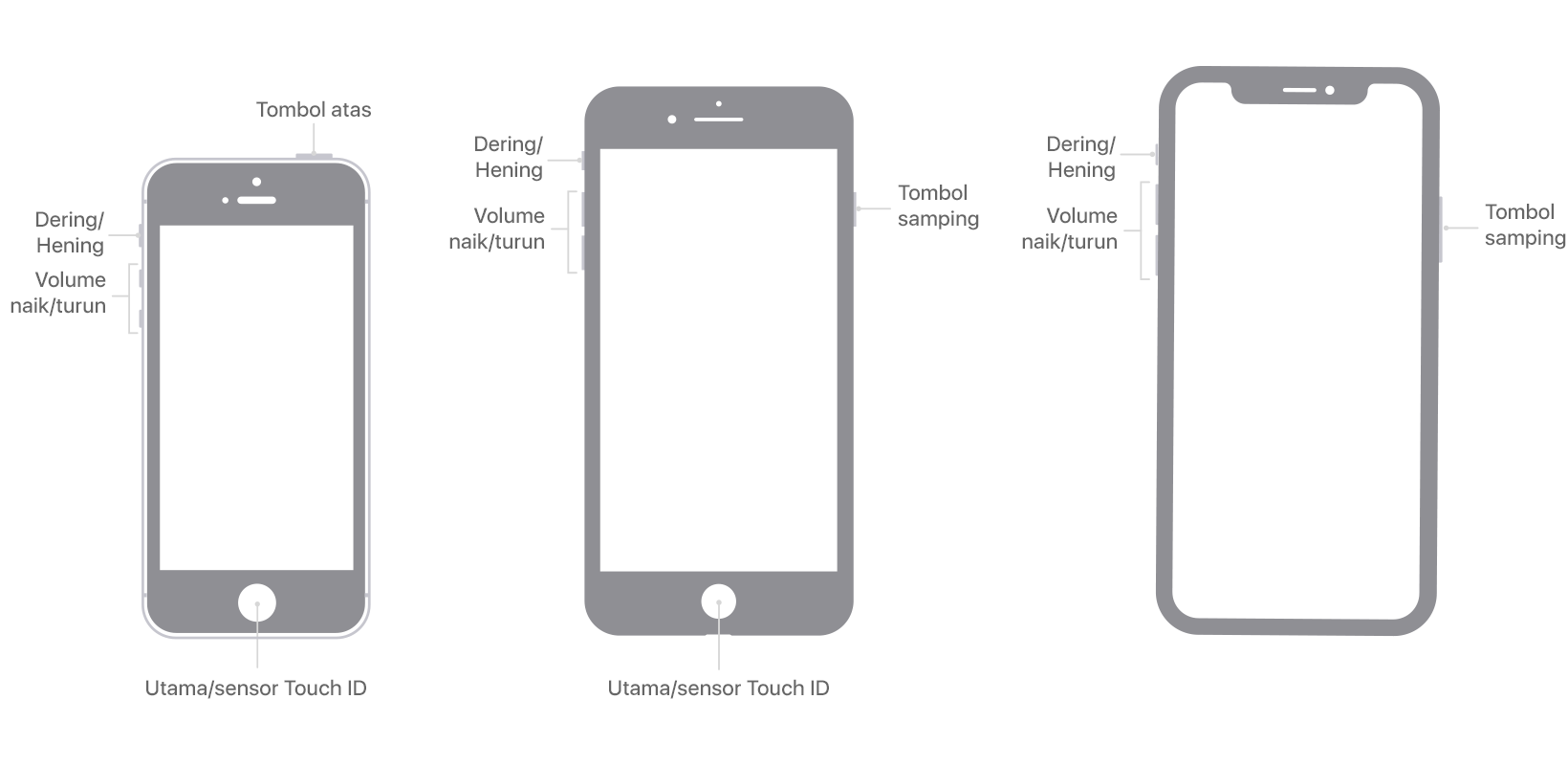 Menggunakan Tombol Samping Utama Dan Lainnya Di Iphone Apple Support