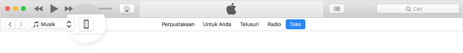 Ikon perangkat di sudut kiri atas jendela iTunes.