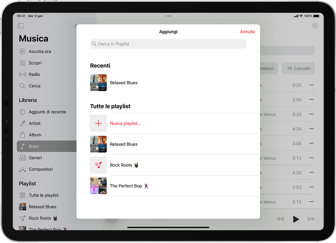 Schermata dell'iPad che mostra una playlist di brani.