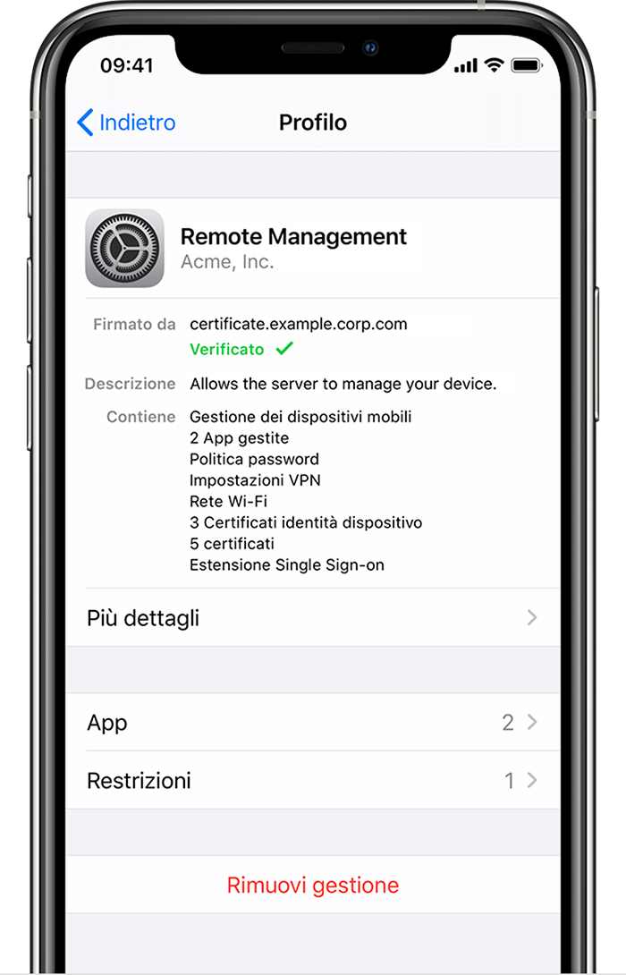 iPhone che mostra un profilo installato in VPN e gestione dispositivi