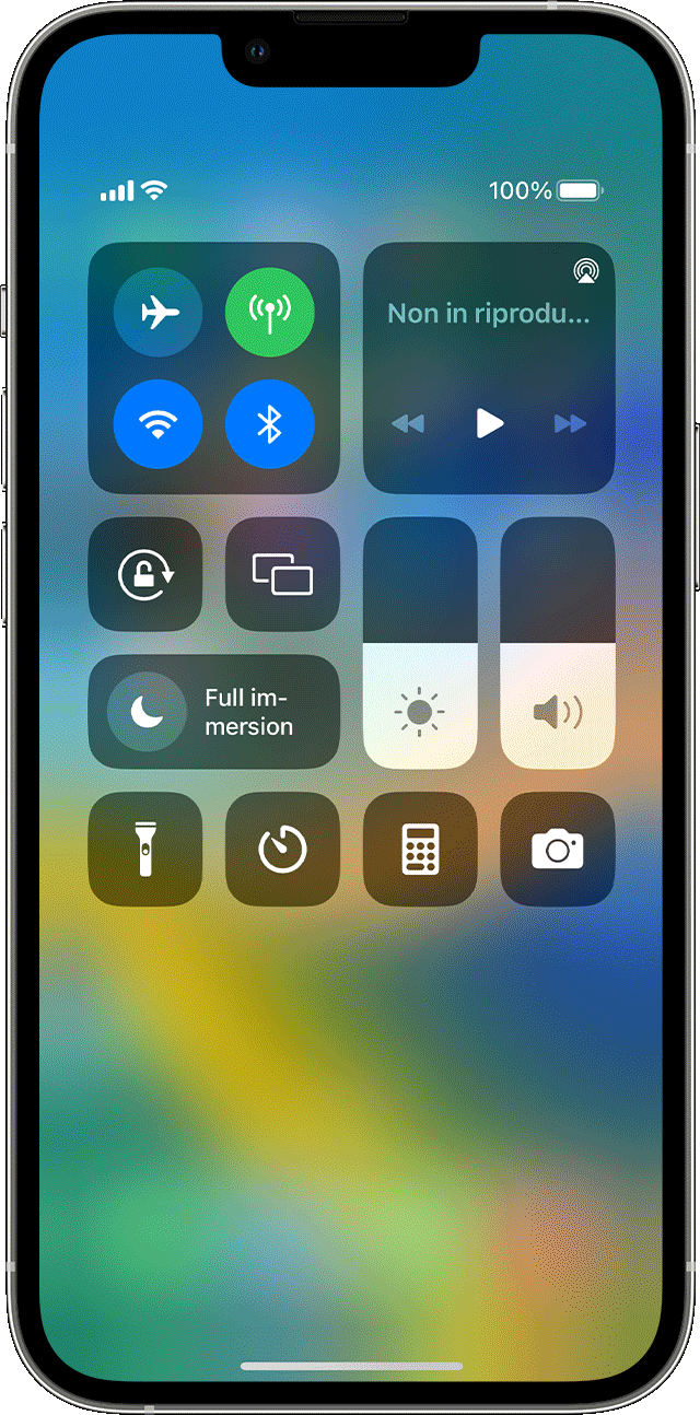 Regolare la luminosità e la temperatura colore su iPhone o iPad - Supporto  Apple (IT)