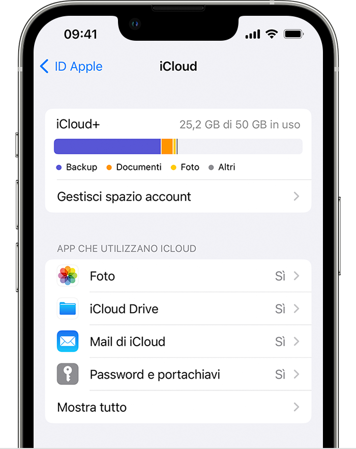 Modificare le app che sincronizzano e archiviano i dati con iCloud -  Supporto Apple (IT)
